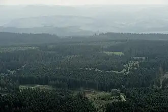 Blick auf den Plackwald mit dem Lörmecke-Turm (mittig rechts)