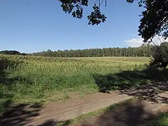 Südhang des Wasenbergs