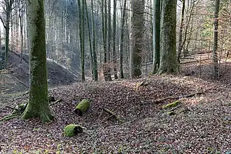 Rechteckige bis ringförmige Substruktion. 2020