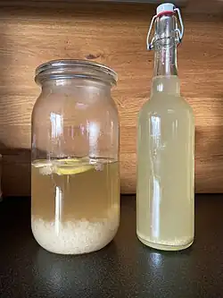 ein Glasgefäß mit einer Flüssigkeit, auf der Zitronen und Ingwerscheiben schwimmen, unten die Kefirkristalle sichtbar. Daneben eine Bügelflasche mit fertiger Limonade