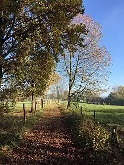 Weg der Jacobspilger bei Birgden I