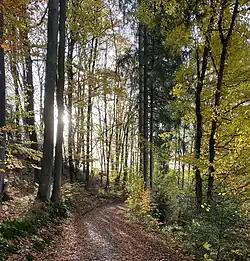Wanderweg nordöstl. Hollinden