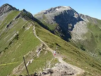 Augstenberg vom Sareiserjoch (von Nordost)