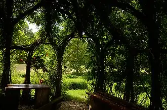 Weidenkapelle von innen