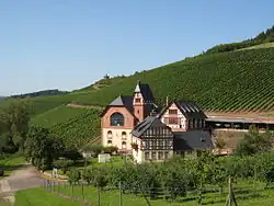 Die ehemalige Staatliche Weinbaudomäne im Avelertal