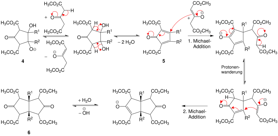 Mechanismus der Weiss-Reaktion, inter- und intramolekulare Michael-Additionen