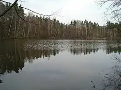 Weissensee im Reichswald