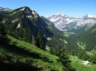 Ruchen (Mitte), vom Weisstannental aus gesehen