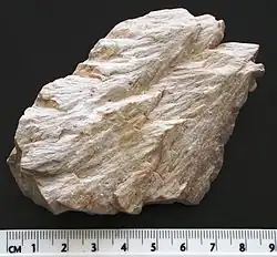 Strahlenkegel in feinkörnigem Dolomit vom Wells-Creek-Krater, USA