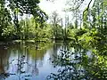 Ehemaliger Mühlenteich