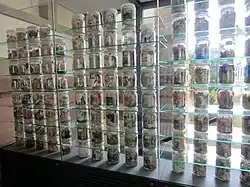 Aufnahme der Ausstellung, die ein gläsernes Regal zeigt, das die Einmachgläser symmetrisch angeordnet zeigt.