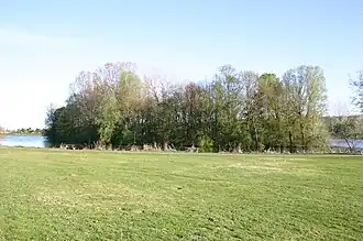 Blick vom Nordufer auf die Vogelinsel