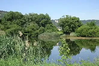 Eines der kleineren, bereits vor mehr als sechzig Jahren ausgekiesten Gewässer im nordöstlichen Teil.