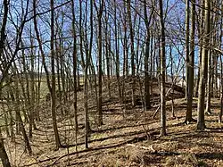 Burgstelle mit Grabenresten