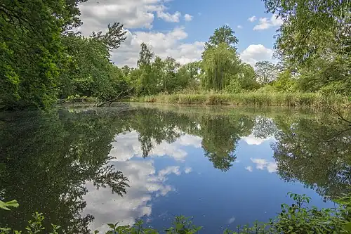 Westlicher Teich im Auwald unweit des Mains