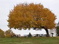 Picknickplatz im Westen.