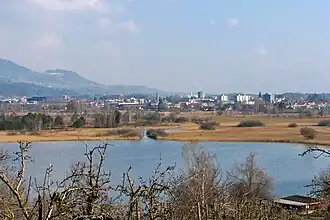 Ansicht von Seegräben über den Pfäffikersee und das Robenhausener Ried