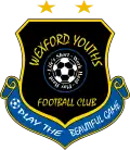 Vereinslogo des Wexford Youth FC