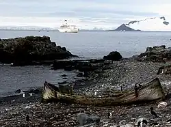 Pinguine mit Walfänger-Wasserboot (im Hintergrund: M/S Discovery)