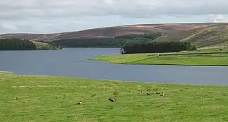 Whiteadder Reservoir