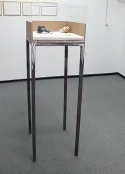 Installation Stahl, Holz, Plexi-Glas, Molton, Schuh, Wundsalbe, Teddybär ca. 150x56x46 2013 (Ausgestellt «Kuckucksnest», Tom Bola Zürich 2013)