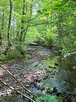 Unterlauf des Wiebachs