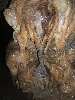 „Elefant“ genannte Formation