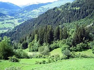 Burghügel der ehemaligen Burg Wildenberg bei Falera