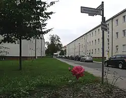 Wildrosenweg, Blick nach Süden