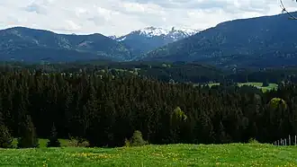 Blick von Wildsteig zum Pürschling (Bildmitte)