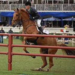 William Whitaker mit Glenavadra Brilliant beim Deutschen Spring-Derby 2013