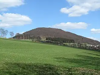 Blick von Südwesten zum Wilzenberg mit einigen Häusern des Schmallenberger Ortsteils Grafschaft