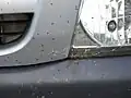 Insektenleichen an einer Fahrzeugfront (2009)