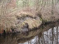 Der Kanal wird nicht mehr „gewartet“, wie diese Stelle zeigt