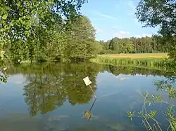 Winkelweiher mit Habicht – Brutpaar, Blickrichtung auf Siedelweiher und Quelle