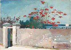 A Wall, Nassau, 1898 (37,8 × 54,3 cm)
