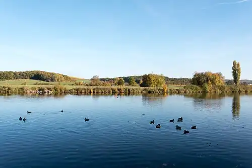 Wipfelder Mainaue bei St. Ludwig