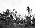U.S. Marines der 1st Marine Division mit gehisster Flagge auf dem Gipfel von Wolmido, 1950