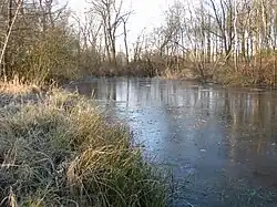 Das südliche Ende des Sees