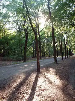 Volkspark Wuhlheide
