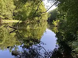 Wupper bei Wilhelmstal
