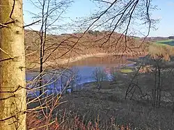 NSG Ufer und Talhänge der Wuppertalsperre