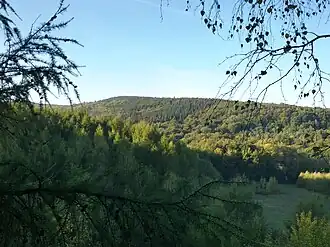 Blick auf den Wurzelbrink vom Reineberg