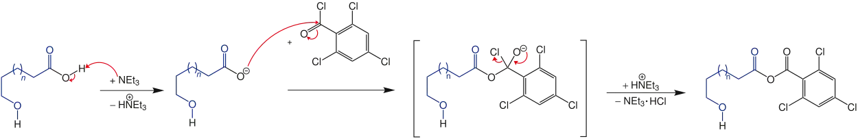 Bildung des Anhydrids