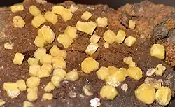 Gelbe Vanadinit-Kristalle auf Goethit aus Taouz, Marokko (Bildbreite ca. 40 mm)