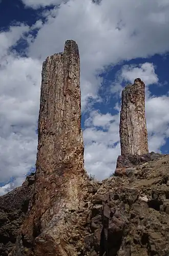 Petrified Forest am Amethyst Mountain