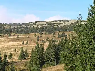 Gipfel des Zadní Planina.