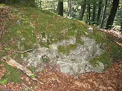 Mauerreste der Zangeburg