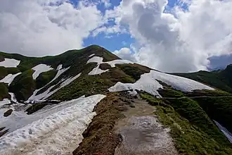 Zeiger von oberhalb des Zeigersattels aus
