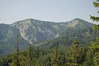 Mittlerer (links) und Großer Zellerhut von der neuen Zellerrain Straße